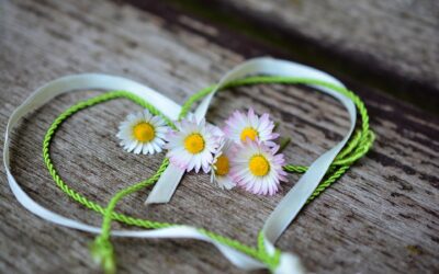 Teremtéseink befogadása